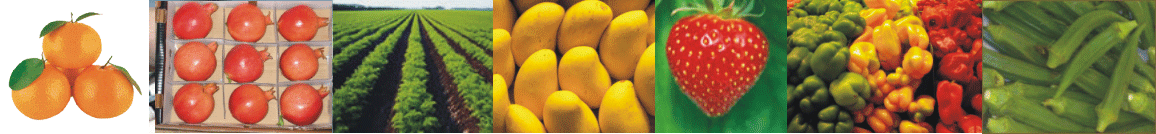 image here